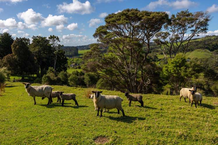 200e Valley Road Waimauku_38