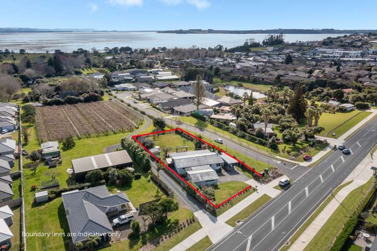 242 Omokoroa Road Omokoroa_17