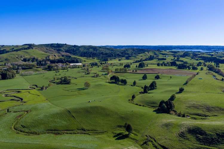 141 Te Mata Road Raglan_5