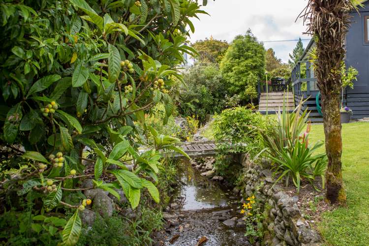 66 Seddon Street Kumara_9