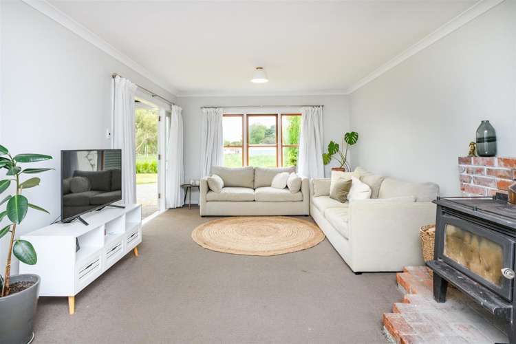 93 Trickers Road Bulls_6