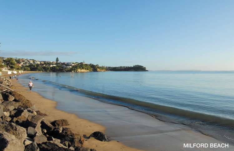 1/6 Dallinghoe Crescent Milford_17