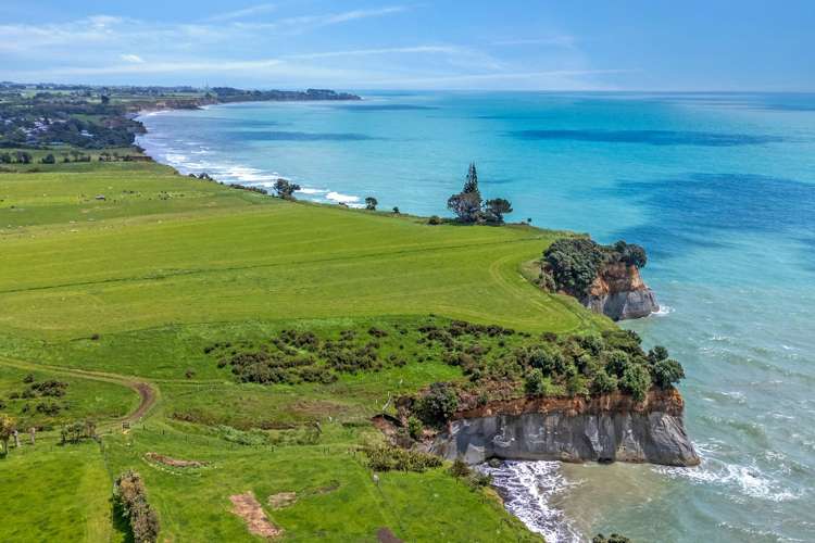 1119 Main North Road Onaero_11