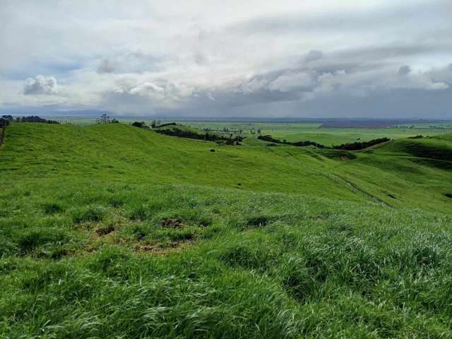 In Zone for Hauraki College and zero covenants