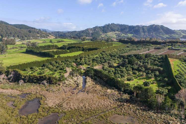 275 Athenree Road Katikati_22