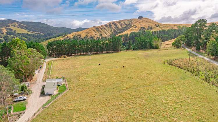 Wainuiomapu Road Bideford_6