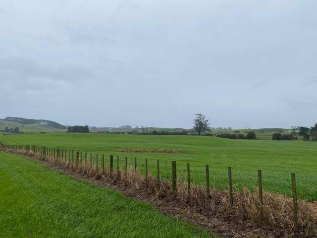 69 Kelly Road Waerenga_4