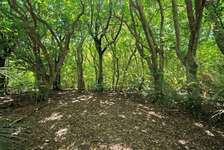 15 Catley Road Te Horo_24