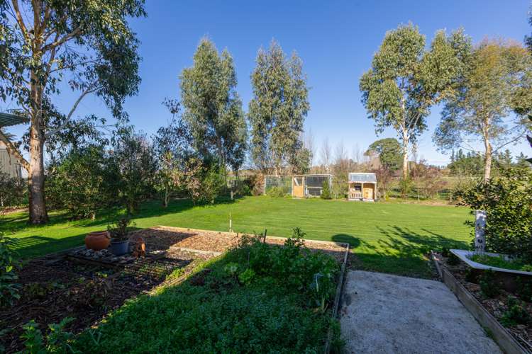 15 Pukeora Scenic Road Waipukurau and Surrounds_18