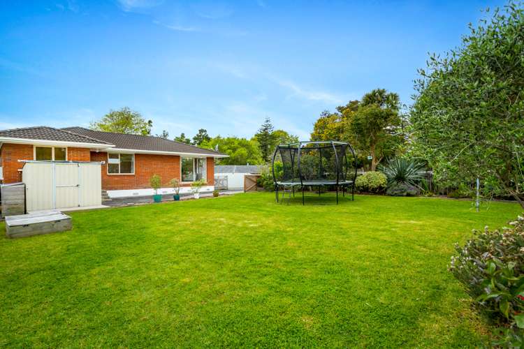 23 Lucinda Place Glen Eden_15