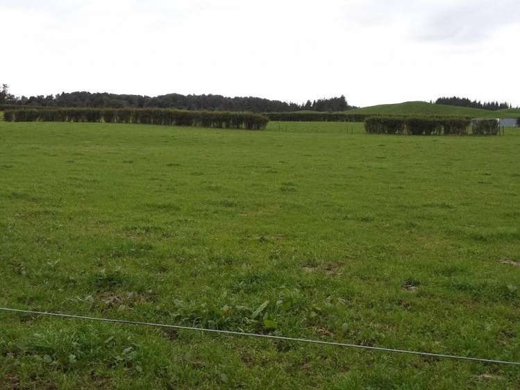 1102 Mangorei Road Mangorei_15