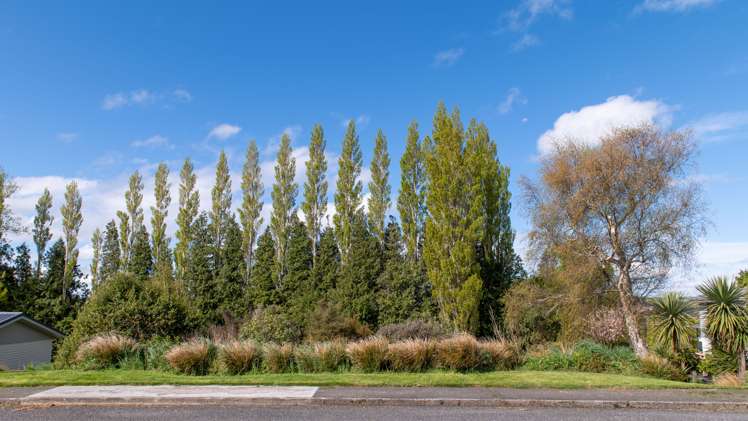 13 Mitre Street Gore_4