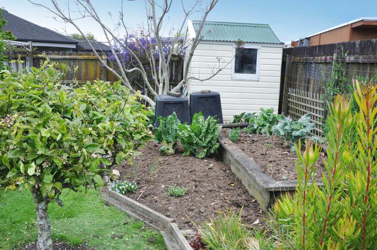 19 Ashmore Crescent Warkworth_18