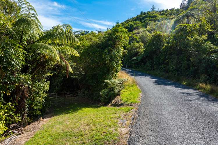 Tumbledown Bay Road Port Underwood_2