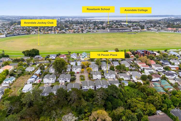 18 Pecan Place Avondale_17