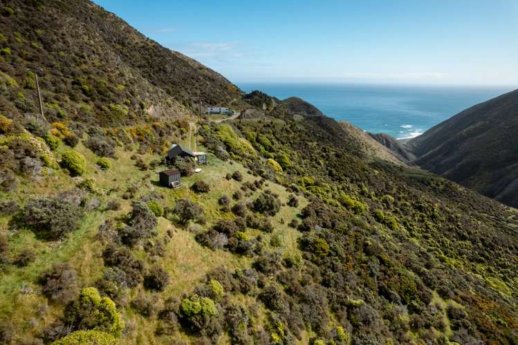 510 Southernthread Road Brooklyn_10