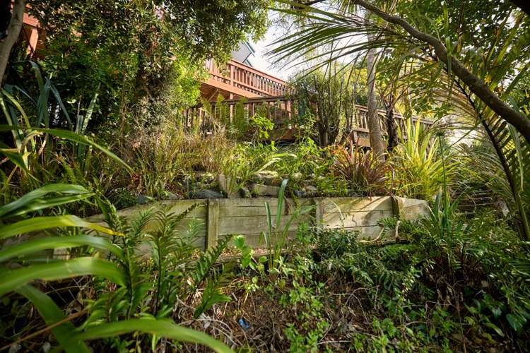 11 Maui Street Kaikoura_62