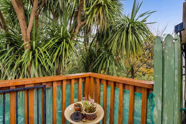 69 Mill Road Lower Vogeltown_14