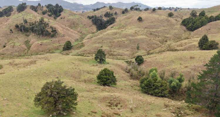 290 Hillcrest Road_0