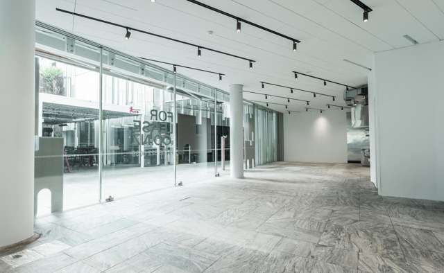 Suite G04A and B/100 Parnell Road Parnell_3