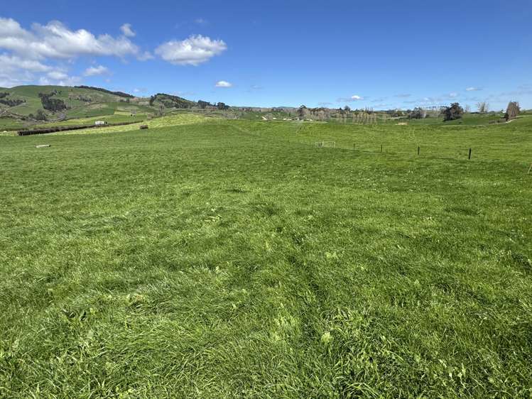 530 Mangatutu Rd RD3 Maihiihi_5
