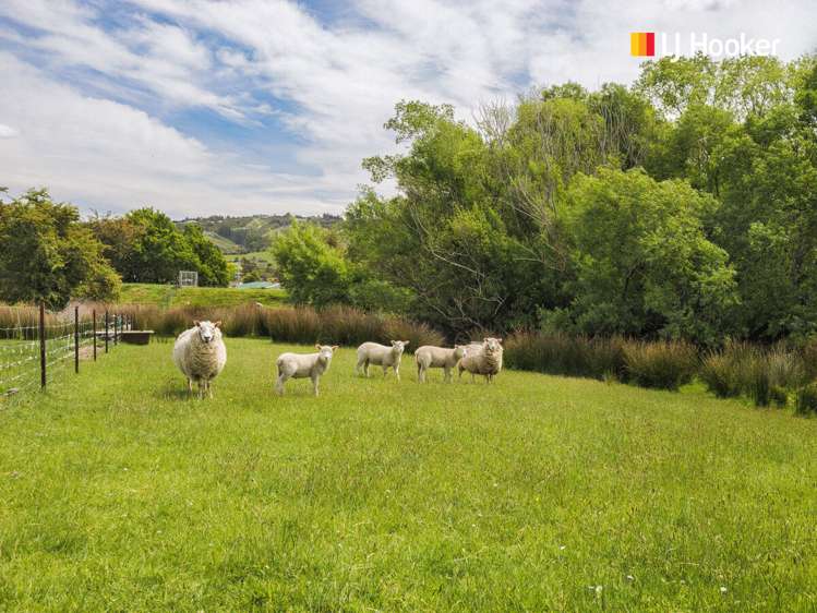 19 Abbotts Hill Road Abbotsford_8