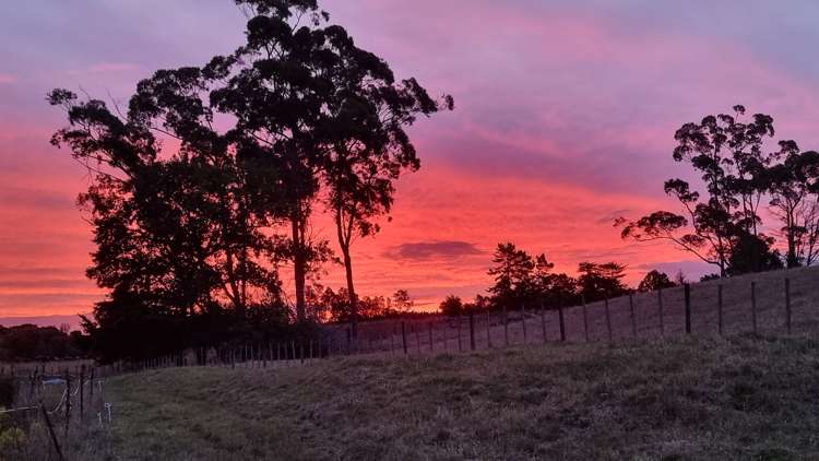 128E Mauku Road Patumahoe_24