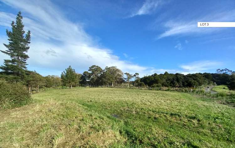 Kaiwaka-Mangawhai Road Kaiwaka_8