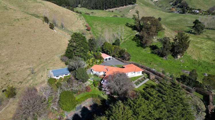 339 Seafield Road Eskdale_31