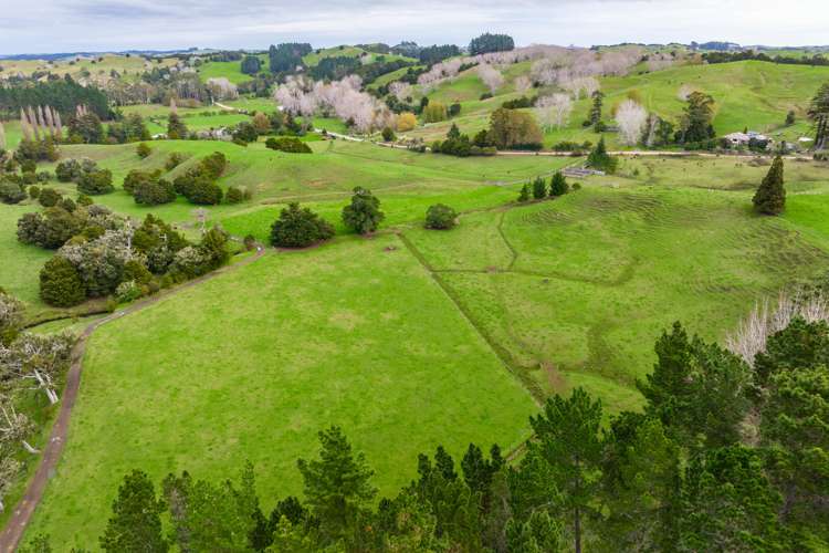 Omana Road Tangiteroria_12