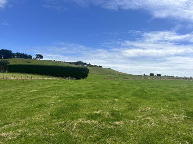84 Milton Street Riverton_3