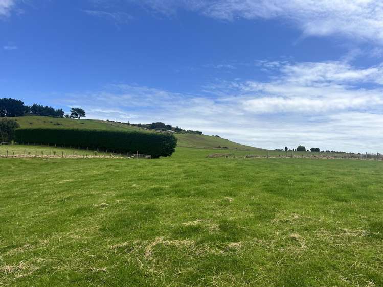 84 Milton Street Riverton_3
