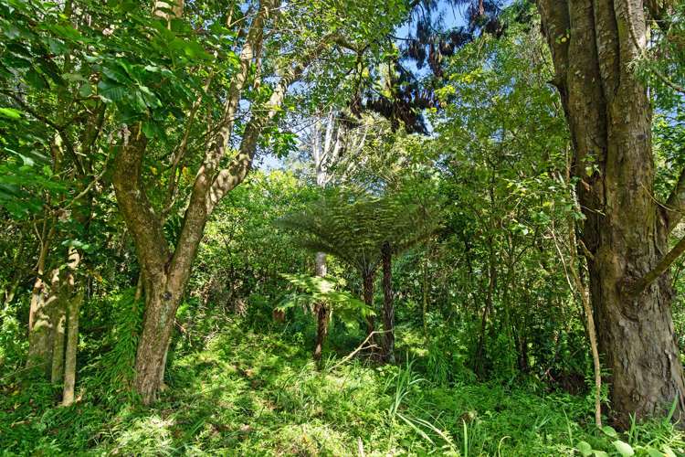 22 Mcdonald Mine Road Huntly_8