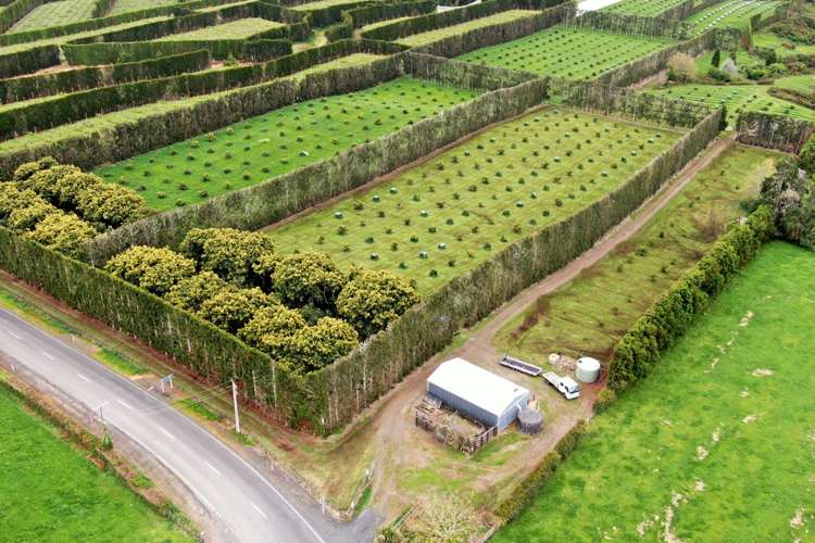 211 Pukekauri Road Waikino_23