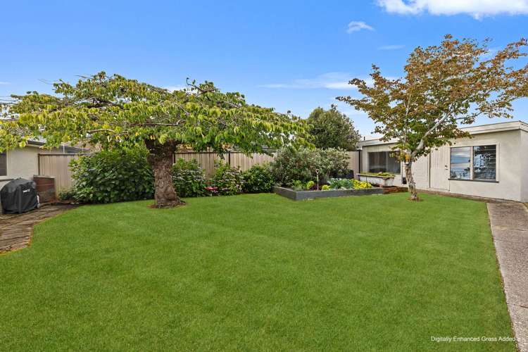 5 Park Street Gore_33