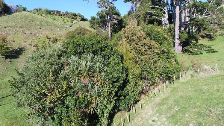 371 Upper Ohauiti Road Ohauiti_16