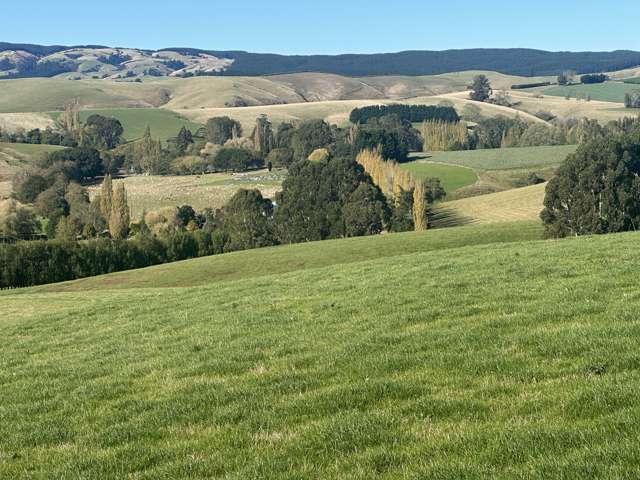 83 Waitahuna Cemetery Road Waitahuna_3