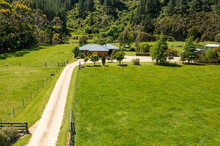 132 Mount Riley Road Havelock_42