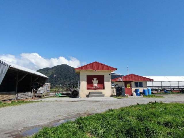 19 Cropp Road Kowhitirangi_1