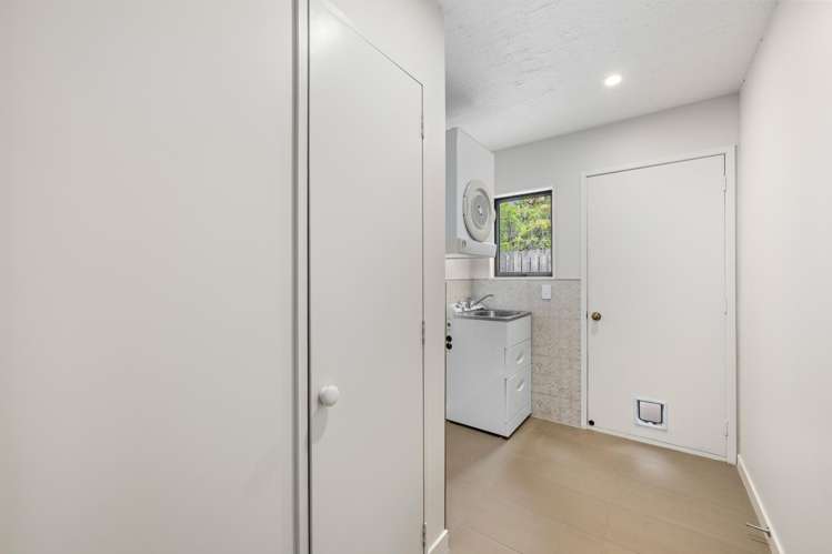 43B Murphys Road Springlands_10