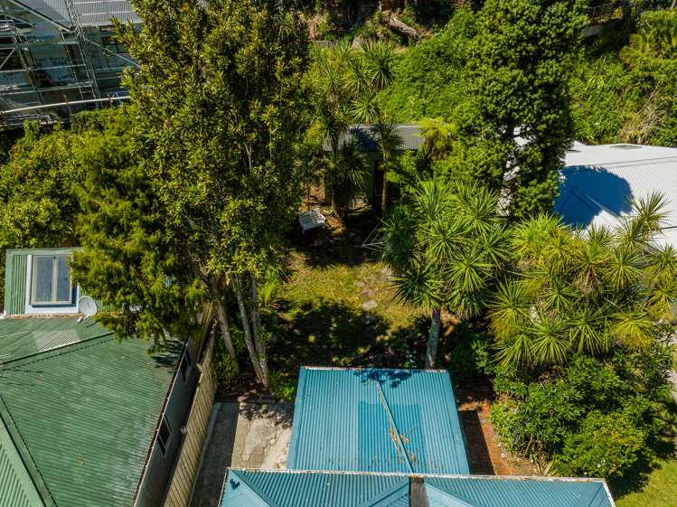 9 Holloway Road Aro Valley_11