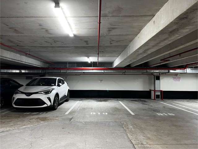 Carpark R, Albert Street City Centre_3