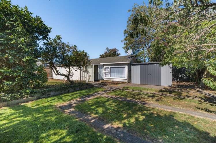 26 Rangitira Avenue Hospital_16