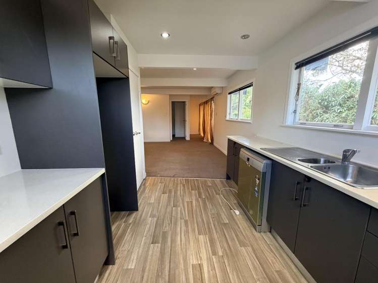 66 Elliott Avenue Glenfield_6