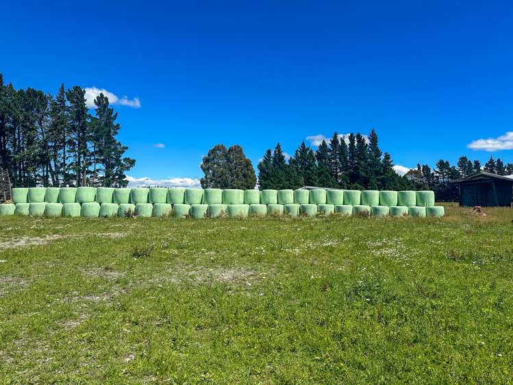 164 Oswald Road Te Anau Surrounds_6