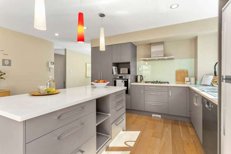 8a Saint Albans Avenue Mount Eden_6