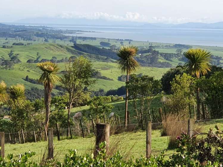 457a Findlay Road Miranda_19