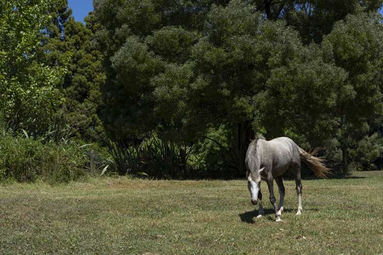 41 Te Ra Road Kaeo_19