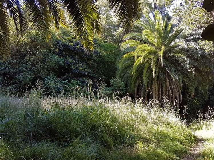 Torea Moua Bay Marlborough_16