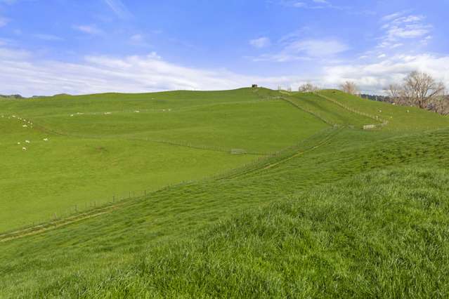 Mangatea Road Te Kuiti_1